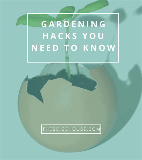 two major gardening hacks you need to know the beige house