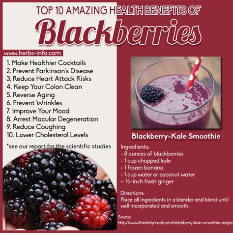 Top 10 Amazing Health Benefits Of Blackberries Herbs Info
