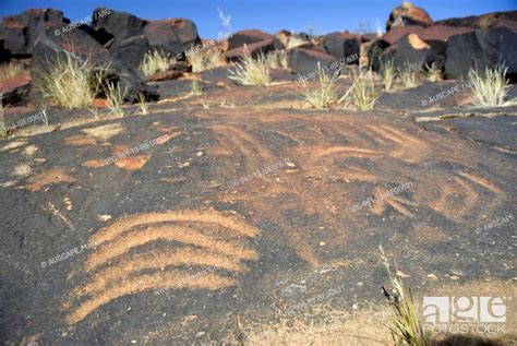 Aboriginal Petroglyphs Callamurra Waterhole Innamincka Regional