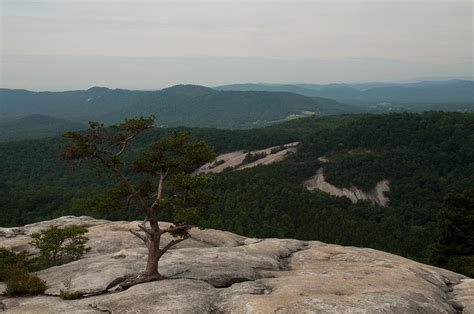 Summit Of Stone Mountain State Park In North Carolina Photograph By
