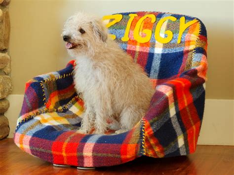 Check spelling or type a new query. How to Turn Old Furniture Into New Pet Beds | DIY Home ...