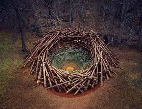 Nature Land Art Installations By Nils Udo Fubiz Media