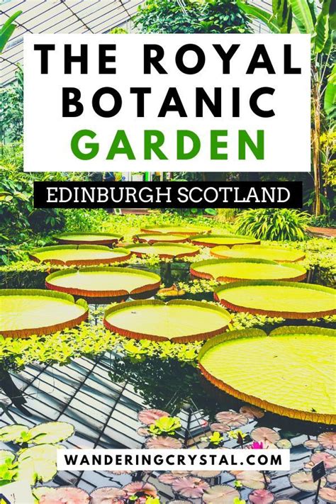 Visiting The Royal Botanic Garden In Edinburgh Artofit