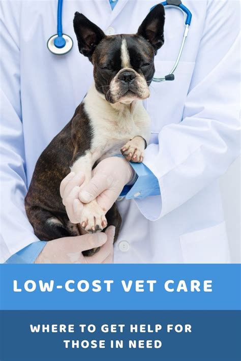 If the dog is only a puppy or is overdue on vaccines. Low-cost Vet Care: Where to get Help for Those in Need ...