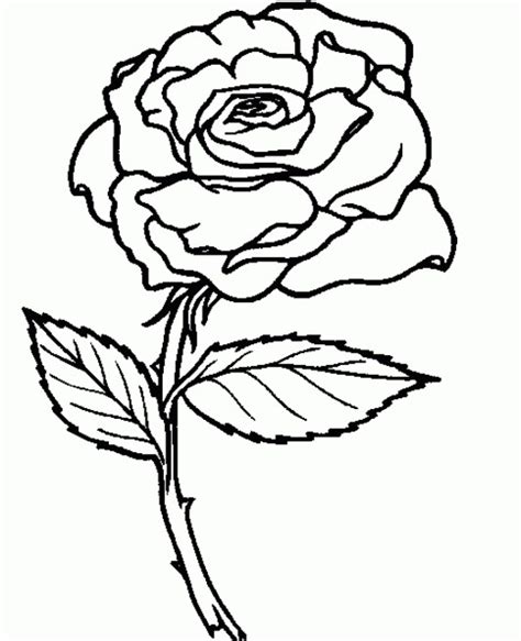 Contoh hasil mewarnai gambar bunga. Mewarnai Gambar Bunga untuk Anak Paud, Tk, Sd