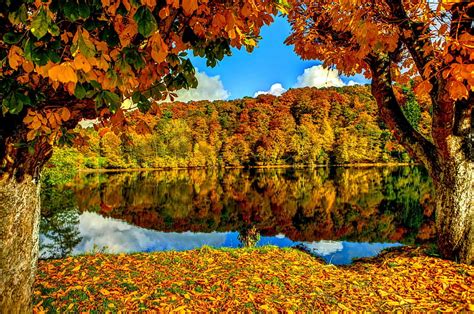 Peaceful Autumn Forest Calm Seasons Autumn Lake Nature Hd