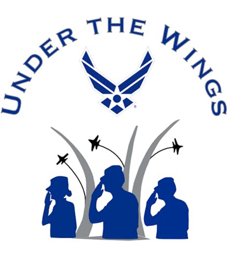Under The Wings Jrotc Cadet Mentorship Program Launches Air Force