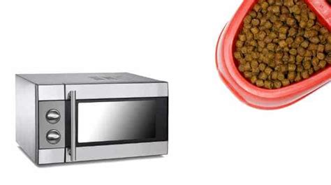 Can Cat Food Be Microwaved How To Heat Up Your Cats Food