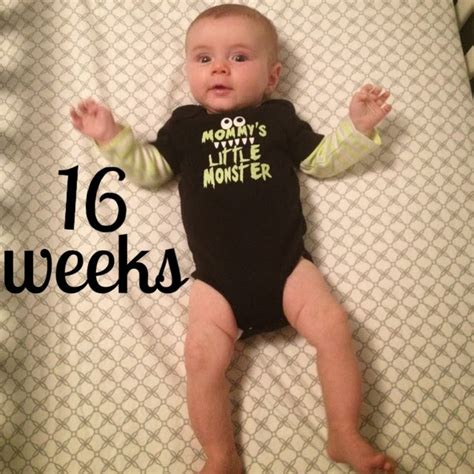 Growing Baby Gardner Cole 16 Weeks October 8 2013