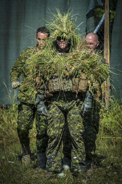 A Canadian Sniper Camouflages Himself With Natural Grass For Demonstration 2756 X 4141 • R