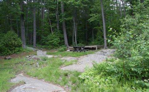 When fishing, anglers can expect to catch a variety of fish including bluegill, channel catfish, largemouth bass, muskie and walleye. Big Burnt Island Camping On Lake George NY
