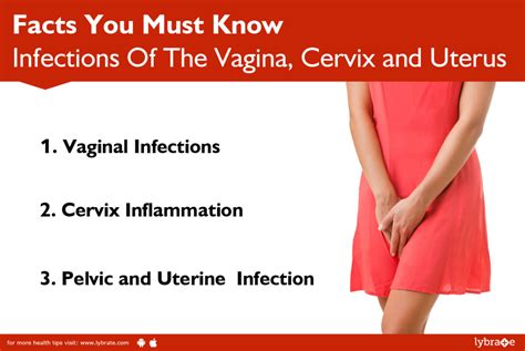 Infections Of The Vagina Cervix And Uterus Facts You Must Know By My Xxx Hot Girl
