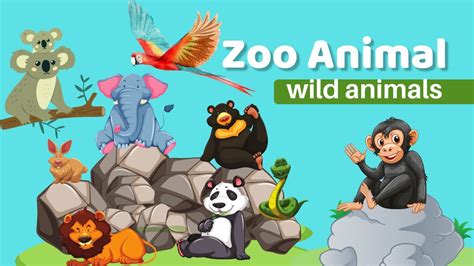 Fun Learning About Different Wild Animals For Children Youtube