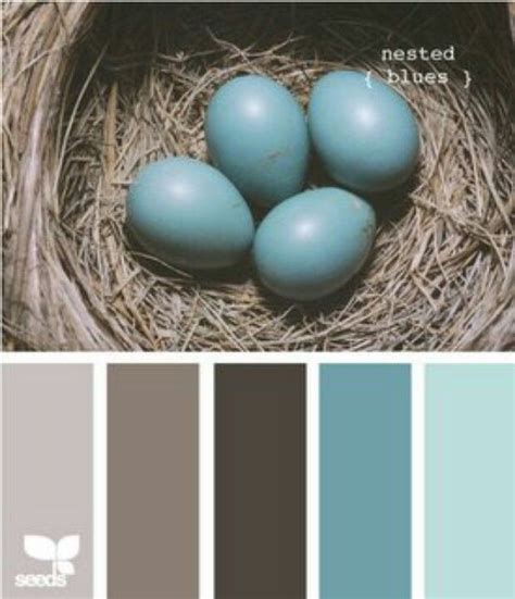 Duck Egg Color Chart