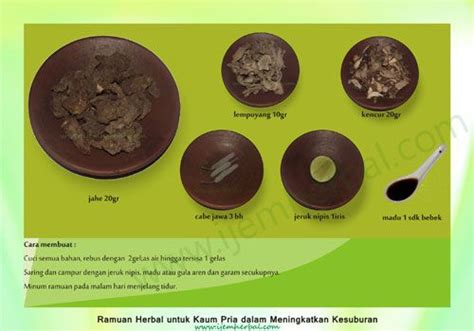 Oleh karenanya, anda perlu mengetahui penyebab sariawan agar tidak merasakan dampak negatif dari sariawan.umumnya, sariawan diakibatkan oleh. Ramuan Herbal Kuat Lelaki