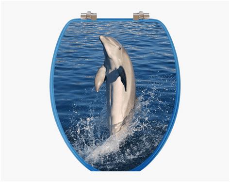 Dolphins Elongated Toilet Seat Dolphin Hd Png Download Kindpng