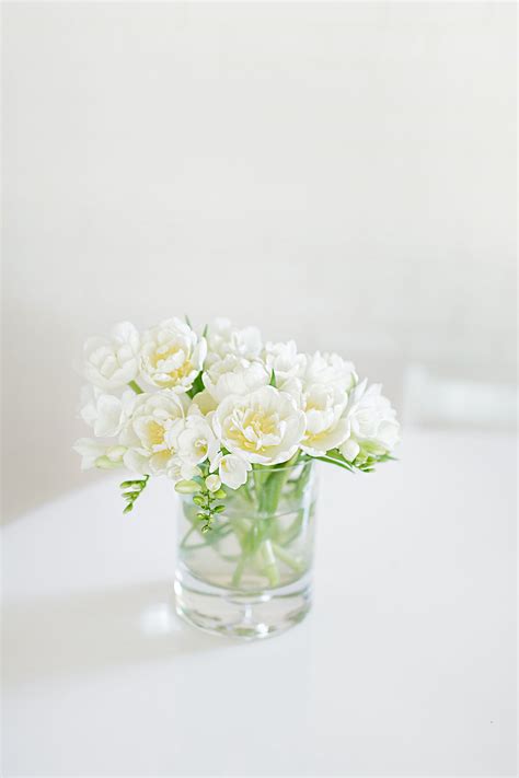 We did not find results for: White Freesia Flowers - Hej Doll | Simple modern living by ...