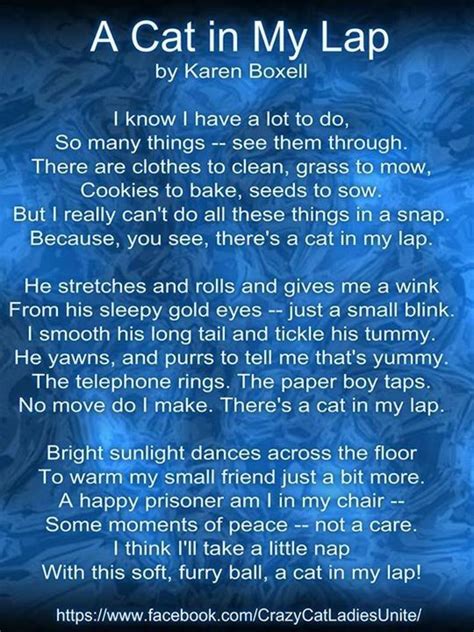 Pin By Dlw On Cat Lady Kittens Cat Poems Crazy Cats