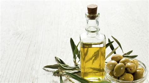 Jual al amir 250ml 20 manfaat minyak zaitun untuk kecantikan . Manfaat Minyak Zaitun untuk Rambut - Umroh.com
