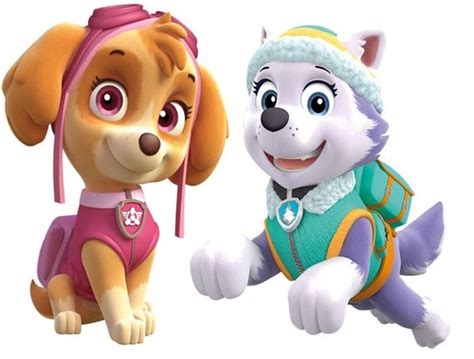 Image Everest Fuf Paw Patrol Skye Hot Sex Picture