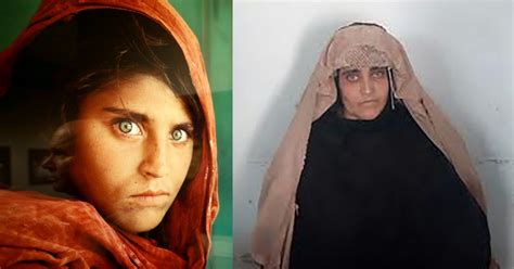 green eyed afghan girl sharbat gula arrested for forged id card metro news