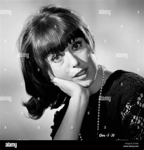 Mister Ten Per Cent 1967 Una Stubbs Date 1967 Stock Photo Alamy