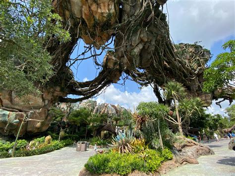 Disneyland Avatar Experience Will Be As Amazing As Pandora The
