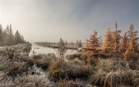 Nature Lake Landscape Reflection National Geographic Fog Ultrahd 4k
