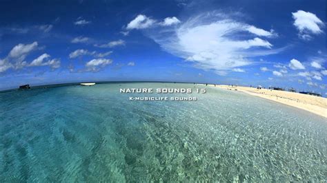 Nature Sound 15 The Most Relaxing Sounds Youtube