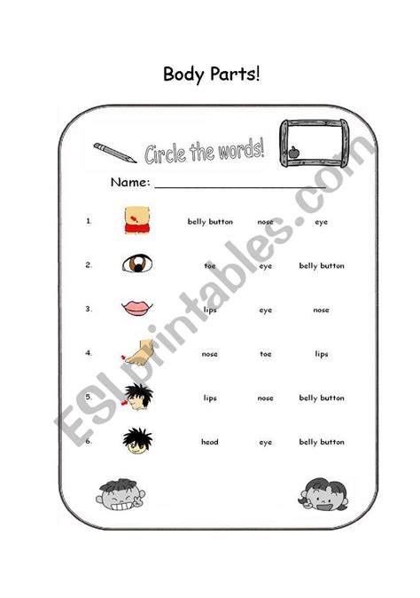 Radius, chord, diameter, secant, tangent, arc, major sector, minor sector, major segment, minor segment, concentric parts of a circle: Body Parts - Circle the Word - ESL worksheet by linders2