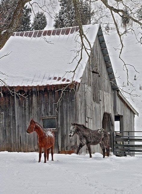 Winterquenalbertini Horses In The Snow Dixie Daydreamertumblr Via