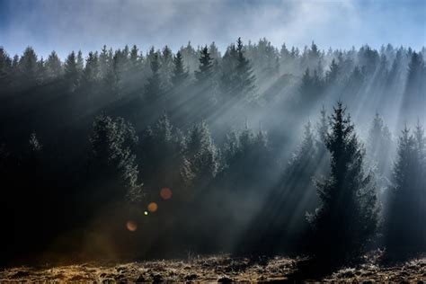 Fog Divided By Sun Rays Misty Morning View In Wet Mountain Area