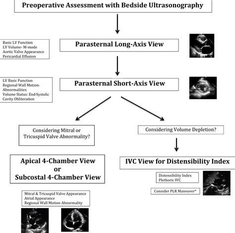 Perioperative Anesthesiology Ultrasonographic Evaluation Pause A