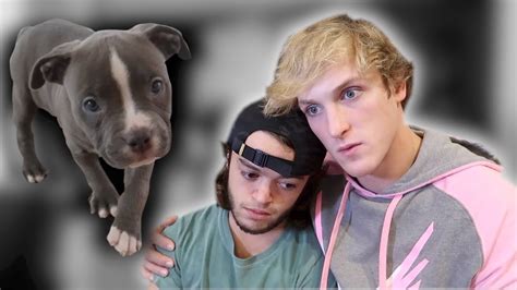 Evans Dog Died Youtube