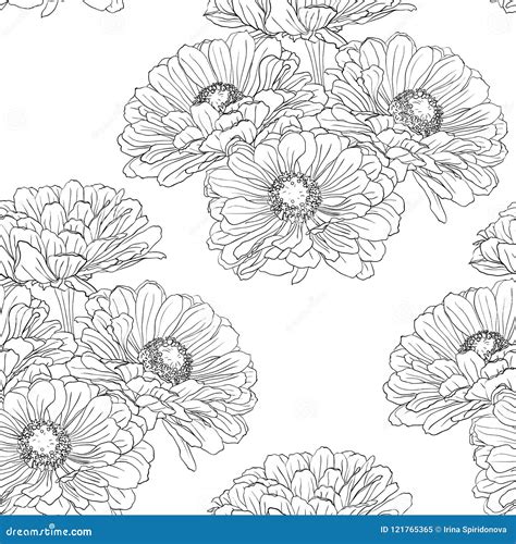 Seamless Pattern With Gerbera Flowers Stock Vector Illustration Of