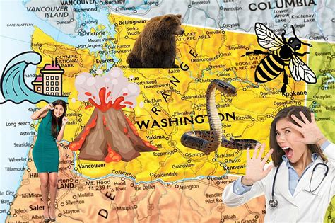 These 9 Things That Will Most Likely Kill You In Washington State