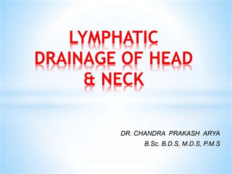 Lymphatic Drainage Of Head And Neck By Dr Cp Arya Bsc Bds M