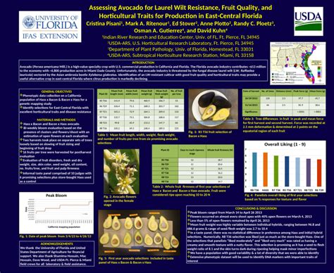 Pdf Assessing Avocado For Laurel Wilt Resistance Fruit Quality And