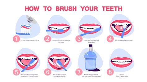 Premium Vector How To Brush Your Teeth Step By Step Instruction
