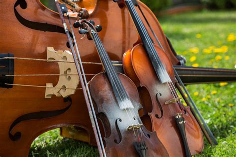 Standard prints, square prints, large prints, collage prints What's the difference between a violin and a viola ...
