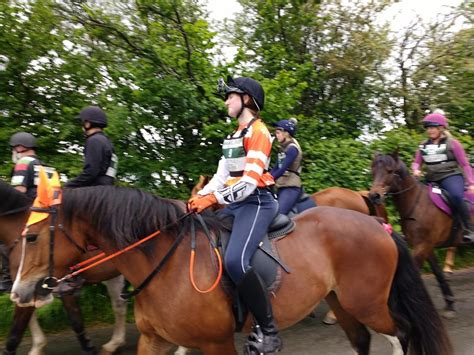 Maybe you would like to learn more about one of these? Hack 1000 Miles at Man V Horse: horses come out on top ...