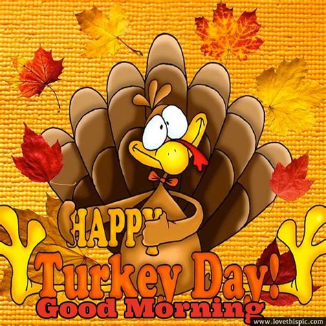 Happy Turkey Day Good Morning Pictures Photos And Images For