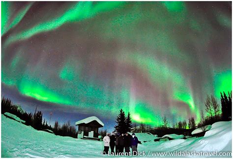 Alaska Northern Lights Tour 2022