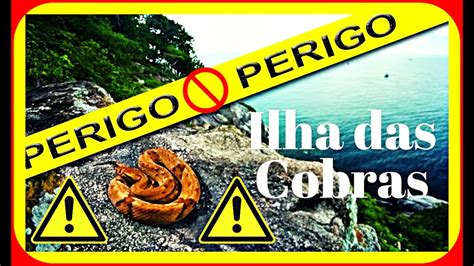 Descubra Mais Sobre A Surpreendente Ilha Das Cobras No Brasil Youtube