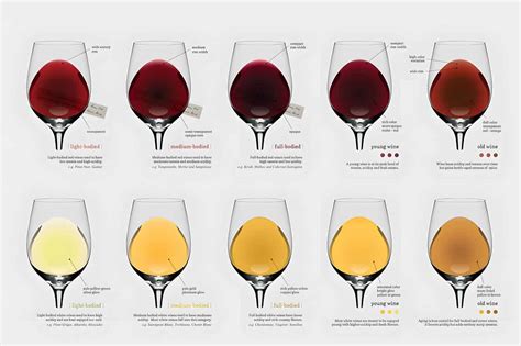 Wine Body Guide What Does Full Bodied Wine Mean