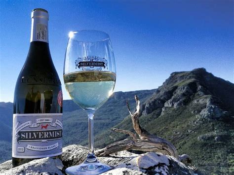 6 Undiscovered Wine Farms In Cape Town And Beyond Za