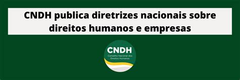 Cndh Publica Diretrizes Nacionais Sobre Direitos Humanos E Empresas