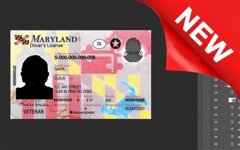 Maryland Driver License Psd Template New Mr Verify