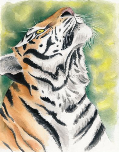 Painting Bengal Tiger Watercolor Ink Original Art By Seven Sirens