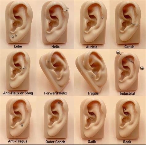 Yeahdatscute Cool Ear Piercings Pretty Ear Piercings Ear Piercings